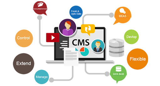 cms development services in USA