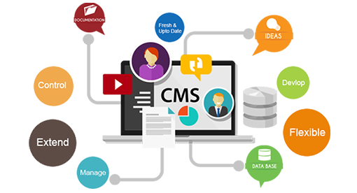 CMS Development Company In india