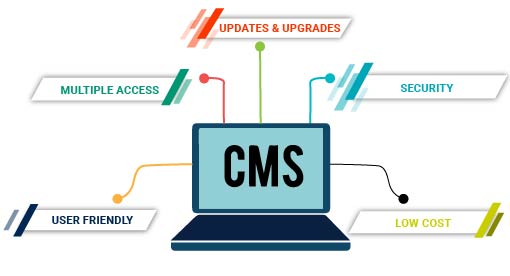 CMS Development Company In india