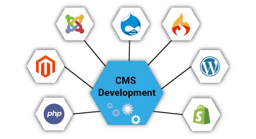 best CMS Development Company In india