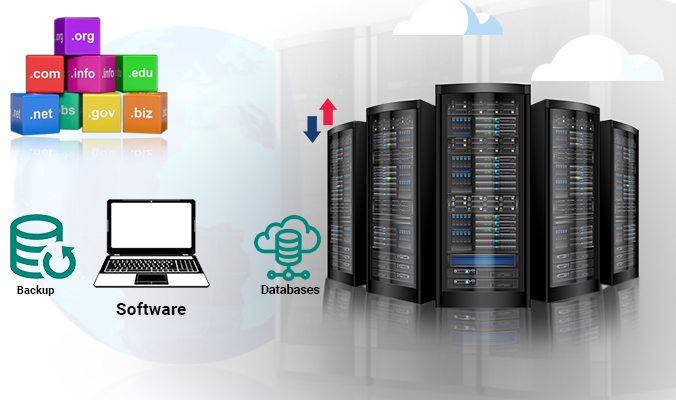 Web Hosting Company In india